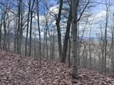 Tbd Pack Mountain Road - Photo 35