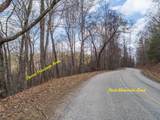 Tbd Pack Mountain Road - Photo 45
