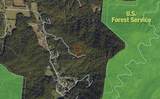 SR 1229 Dry Creek - Photo 3