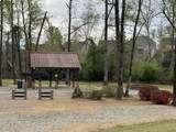 832 Lillian Park Drive - Photo 53