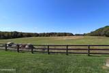 455 Hogan Farm Road - Photo 149