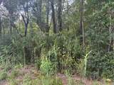 2539 Chauncey Town Road - Photo 3