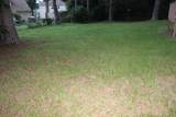 446 Pheasant Run Drive - Photo 8