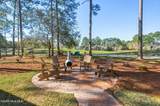 1715 Mute Swan Lane - Photo 49