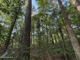 470 Acres Lane - Photo 12