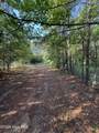 470 Acres Lane - Photo 7