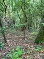 675 Ed Graves Road - Photo 10