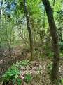 675 Ed Graves Road - Photo 31