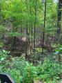 88 acres Bolden Branch - Photo 10