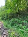 88 acres Bolden Branch - Photo 11