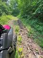 88 acres Bolden Branch - Photo 12