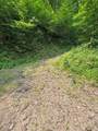 88 acres Bolden Branch - Photo 13