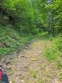 88 acres Bolden Branch - Photo 14