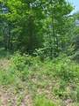 88 acres Bolden Branch - Photo 15