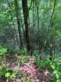 88 acres Bolden Branch - Photo 16