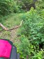 88 acres Bolden Branch - Photo 17