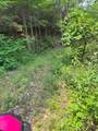 88 acres Bolden Branch - Photo 18