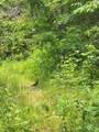 88 acres Bolden Branch - Photo 19