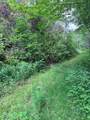 88 acres Bolden Branch - Photo 20