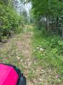 88 acres Bolden Branch - Photo 21