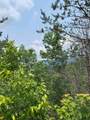 88 acres Bolden Branch - Photo 22