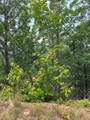 88 acres Bolden Branch - Photo 23