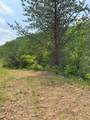 88 acres Bolden Branch - Photo 24