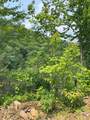 88 acres Bolden Branch - Photo 25