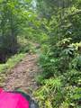 88 acres Bolden Branch - Photo 26