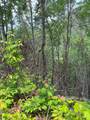 88 acres Bolden Branch - Photo 27