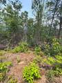 88 acres Bolden Branch - Photo 28