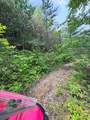 88 acres Bolden Branch - Photo 29