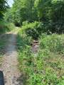 88 acres Bolden Branch - Photo 3