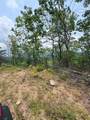 88 acres Bolden Branch - Photo 30