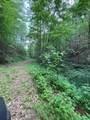 88 acres Bolden Branch - Photo 32