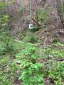 88 acres Bolden Branch - Photo 33