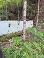 88 acres Bolden Branch - Photo 34