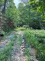88 acres Bolden Branch - Photo 4