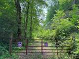 88 acres Bolden Branch - Photo 5
