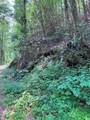 88 acres Bolden Branch - Photo 7