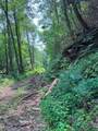 88 acres Bolden Branch - Photo 9