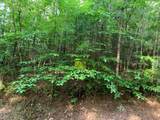 Lot 43 Kestrel Ridge Circle - Photo 10