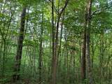 Lot 43 Kestrel Ridge Circle - Photo 2