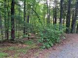Lot 43 Kestrel Ridge Circle - Photo 24