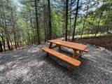 99 Conestoga Trail - Photo 3