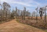 177 Middleton Drive - Photo 45