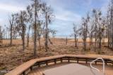 177 Middleton Drive - Photo 47