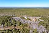 24324 Us Highway 17 - Photo 15