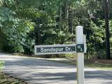747 Sandspur Drive - Photo 2