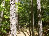 12 Doe Run - Photo 1